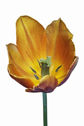 Similar image 11913364