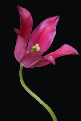 Similar image 11913365