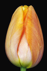 Similar image 11913367