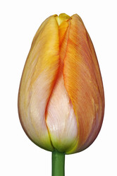 Similar image 11913368