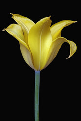 Similar image 11913369