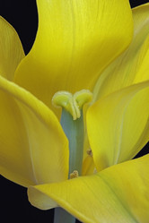 Similar image 11913370