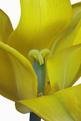 Similar image 11913371