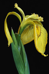 Similar image 11913375