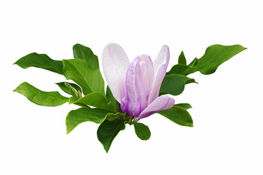 Similar image 11913378