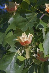 Similar image 11913379