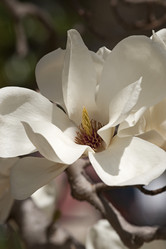 Similar image 11913419