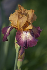 Similar image 11913865