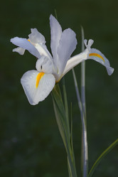 Similar image 11913871