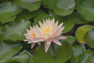 Similar image 11913879