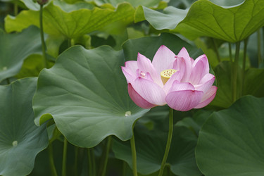 Similar image 11912357