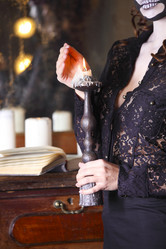 Similar image 11913313