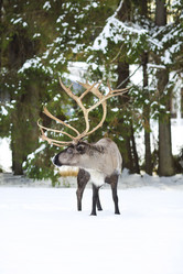 Similar image 11913326