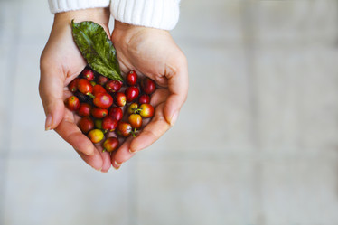 Similar image 11913333