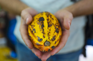 Similar image 11913335