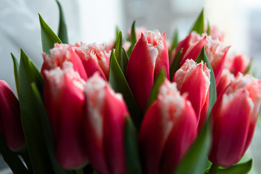 Similar image 11919376