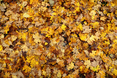 Similar image 11921233