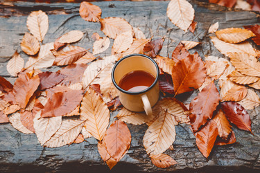 Similar image 11915254