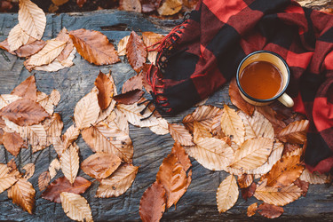 Similar image 11915264