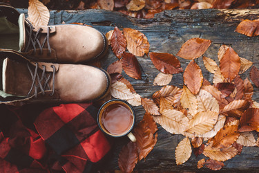 Similar image 11915265