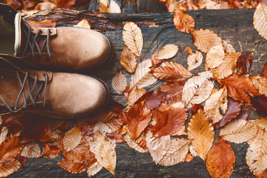 Similar image 11915266