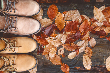 Similar image 11915268