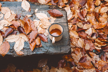 Similar image 11915269