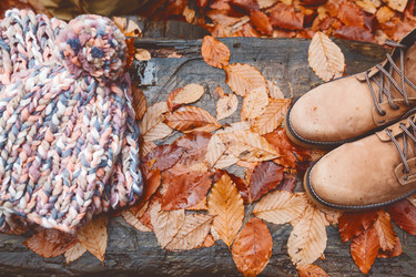 Similar image 11915271