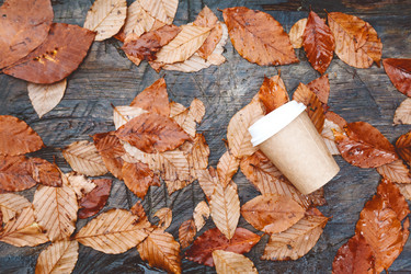 Similar image 11915272