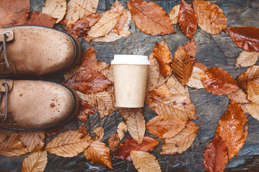 Similar image 11915274