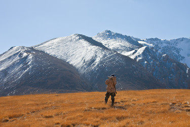 Similar image 11916240