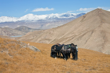 Similar image 11916242