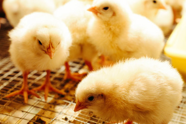 Similar image 11924545