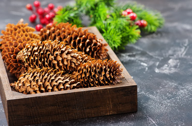 Similar image 11915457