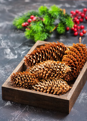 Similar image 11915460