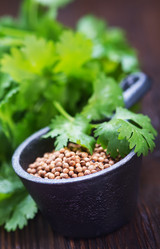 Similar image 11915550