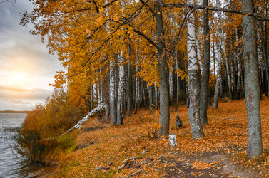 Similar image 11916179