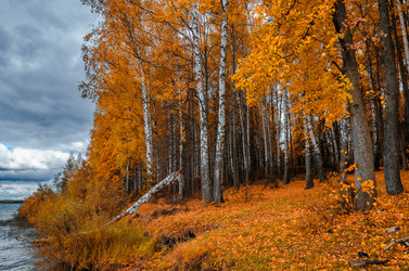 Similar image 11916180