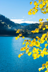 Similar image 11919165