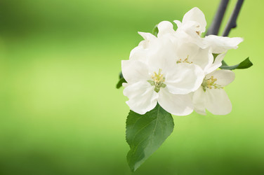 Similar image 11916304