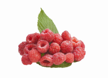 Similar image 11916306