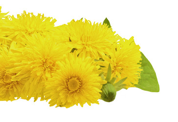 Similar image 11916643