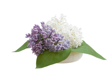 Similar image 11916287