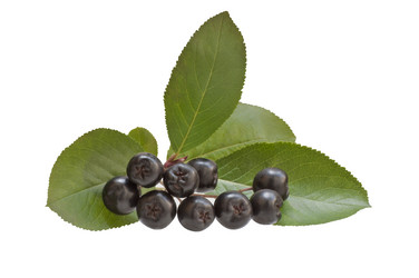 Similar image 11916189