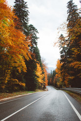 Similar image 11916384