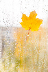 Similar image 11917418