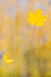 Similar image 11917419