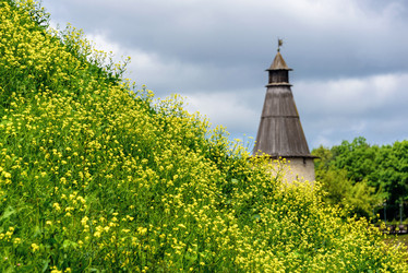 Similar image 11917173