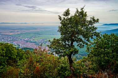 Similar image 11918926