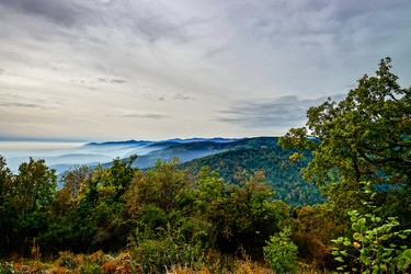 Similar image 11918930